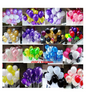 Pearl latex balloon Colorful balloons wedding party